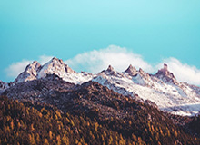 巴西杯前双方球迷发生冲突，据悉有一人头部中弹不幸身亡