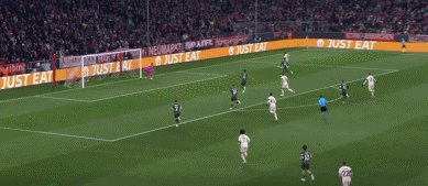 拜凯03.gif